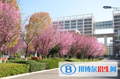 昆明2021年哪些大專有衛(wèi)校