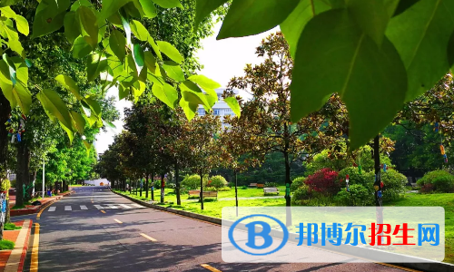貴陽(yáng)2021年計(jì)算機(jī)學(xué)校讀出來(lái)是什么文憑