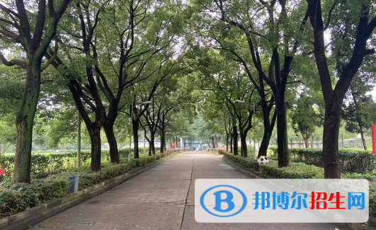 武漢江南技術(shù)學校網(wǎng)站網(wǎng)址