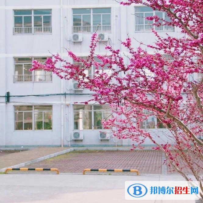 江蘇省陶都中等專業(yè)學校2022年有哪些專業(yè)