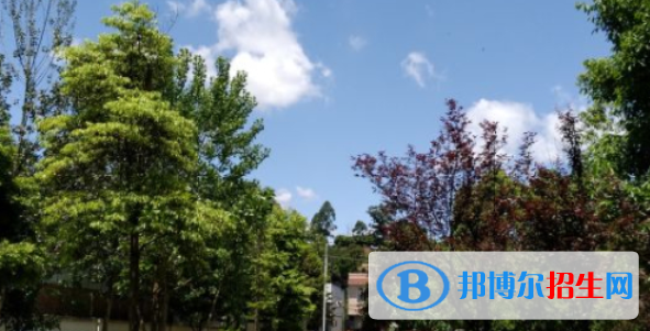 蒲江縣職業(yè)中專學(xué)校地址在哪里