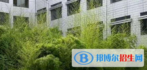 德州衛(wèi)生學校2022年學費、收費多少