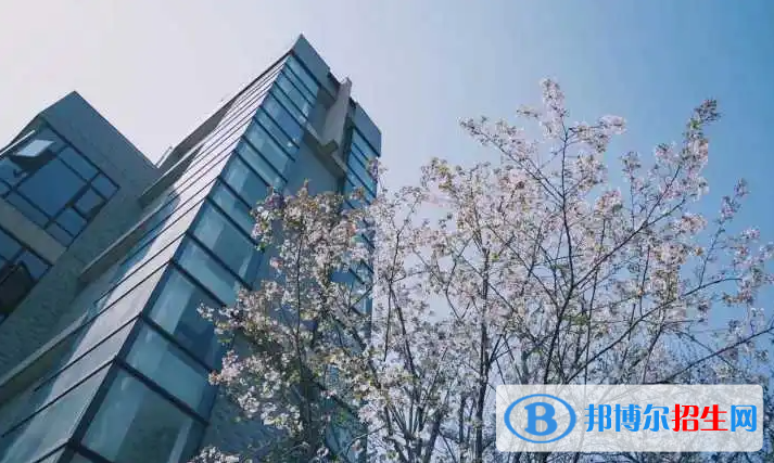 杭州第四中學(xué)國際部怎么樣