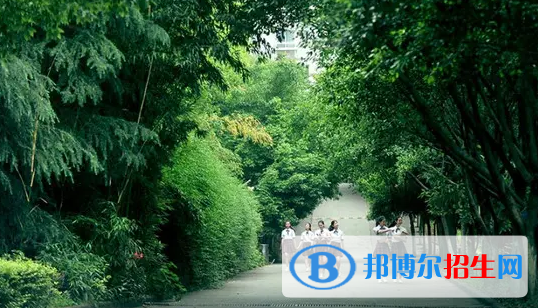 重慶2023年中專和幼師學(xué)校哪個好