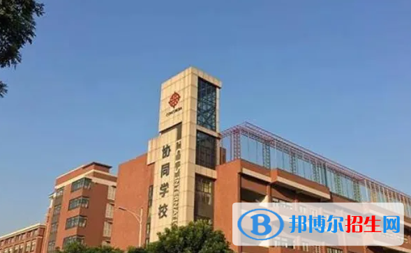 佛山協(xié)同國(guó)際學(xué)校2023年招生政策2
