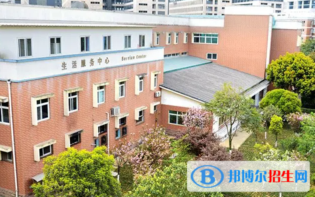 成都美視國際學校初中部2023年入學條件2