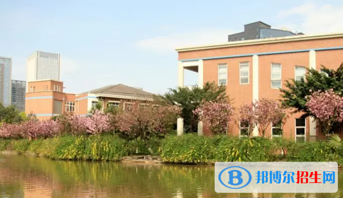 成都美視國(guó)際學(xué)校初中部2023年入學(xué)考試