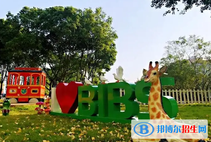 成都青苗國(guó)際雙語(yǔ)學(xué)校小學(xué)部2023年招生政策