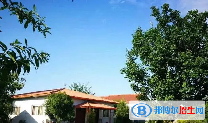 成都建平國(guó)際學(xué)校小學(xué)部2023年課程體系