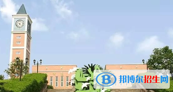 成都美視國(guó)際學(xué)校小學(xué)部2023年課程體系2