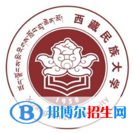 西藏民族大學(xué)藝術(shù)類專業(yè)有哪些？（藝術(shù)類專業(yè)）