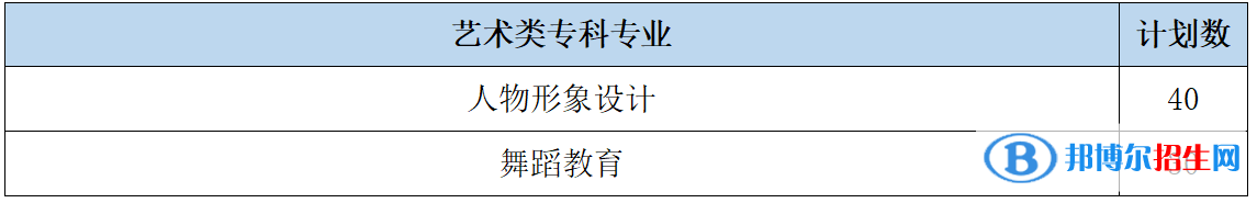 山東女子學院藝術類專業(yè)有哪些？