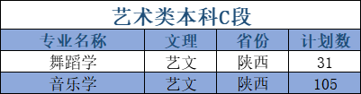 延安大學(xué)藝術(shù)類專業(yè)有哪些？