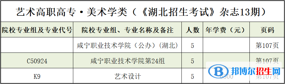 咸寧職業(yè)技術(shù)學(xué)院藝術(shù)類專業(yè)有哪些？