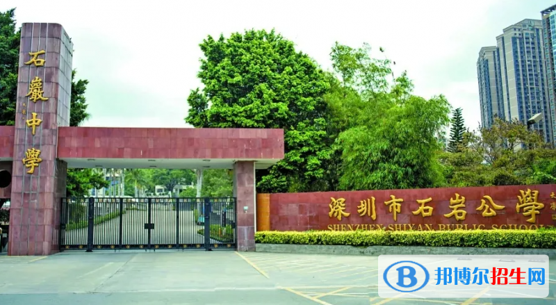 深圳石巖公學學校國際部初中2023年入學考試