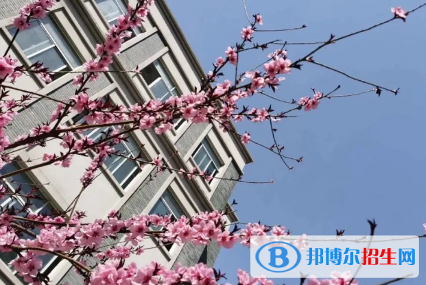 南京寧海中學(xué)2023年報名條件、招生要求、招生對象 