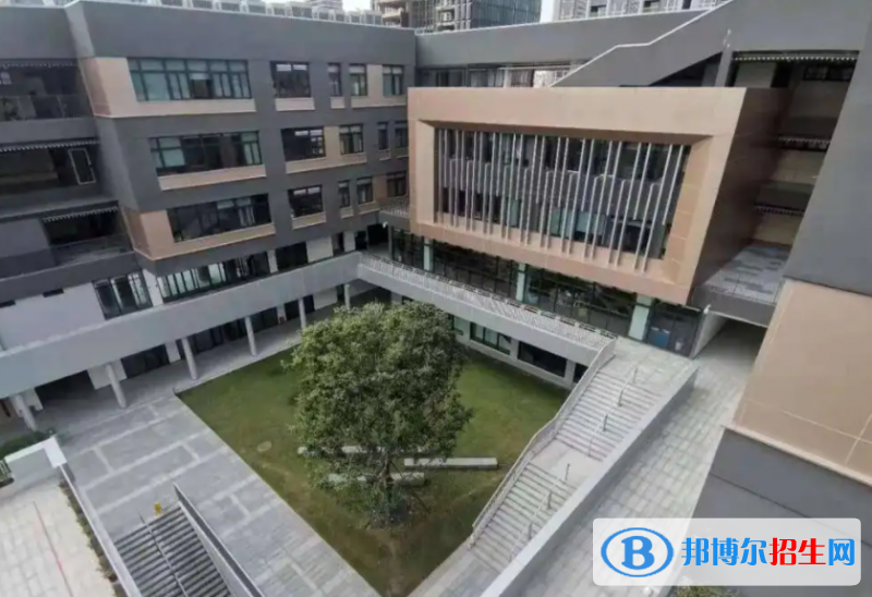 深圳蛇口國際學(xué)校小學(xué)部2023年入學(xué)考試2