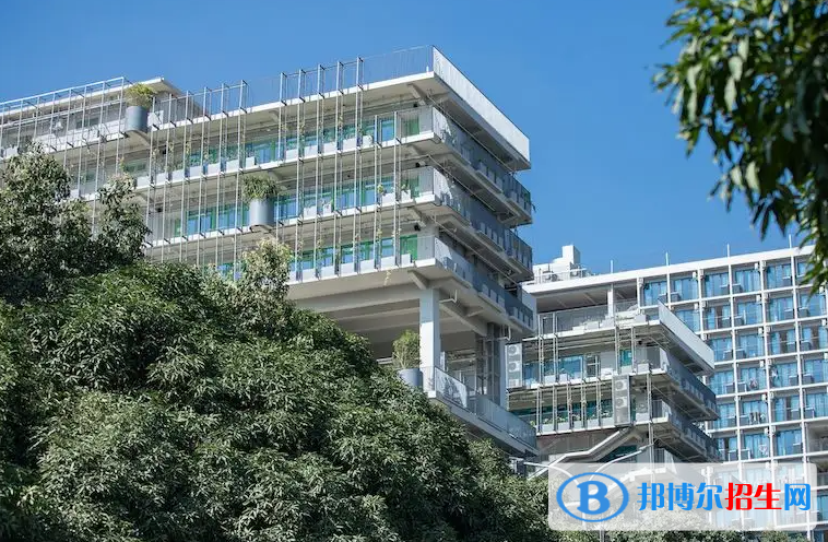 深圳深美國際學(xué)校2023年學(xué)費(fèi)標(biāo)準(zhǔn)2