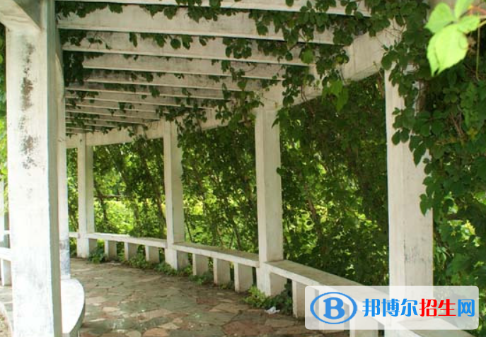 榆樹實(shí)驗(yàn)高級(jí)中學(xué)2023年怎么樣、好不好