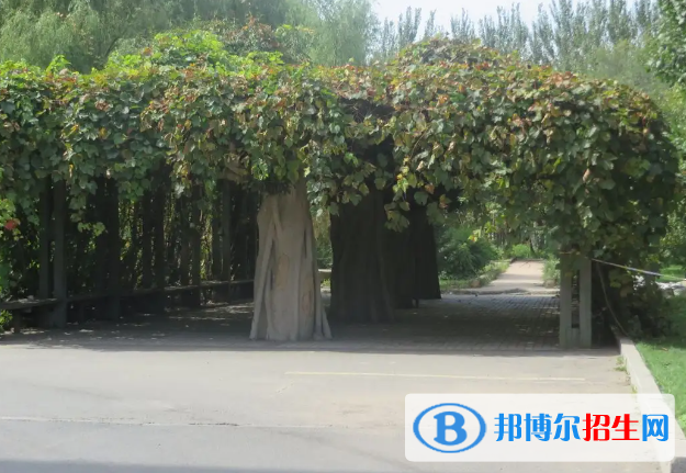 長(zhǎng)春十一高中2023年學(xué)費(fèi)、收費(fèi)多少 