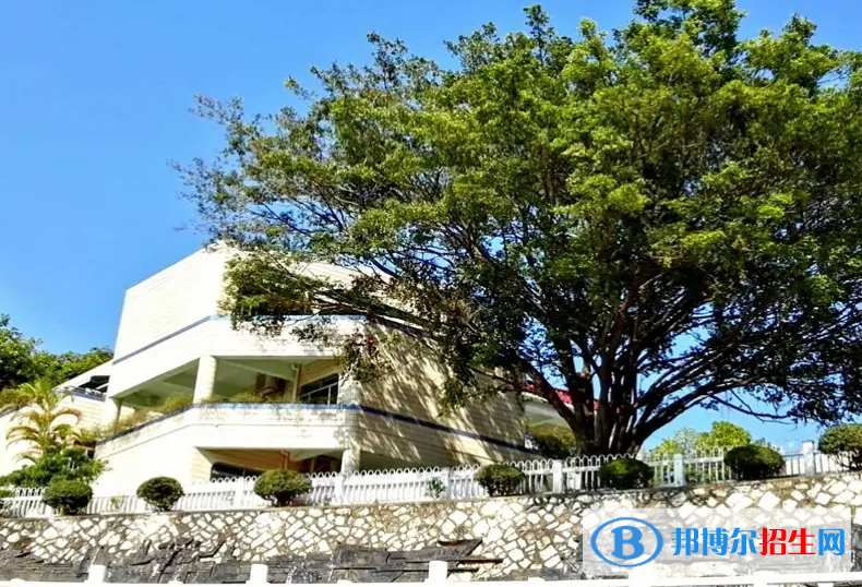 深圳石巖公學學校國際部小學靠譜嗎