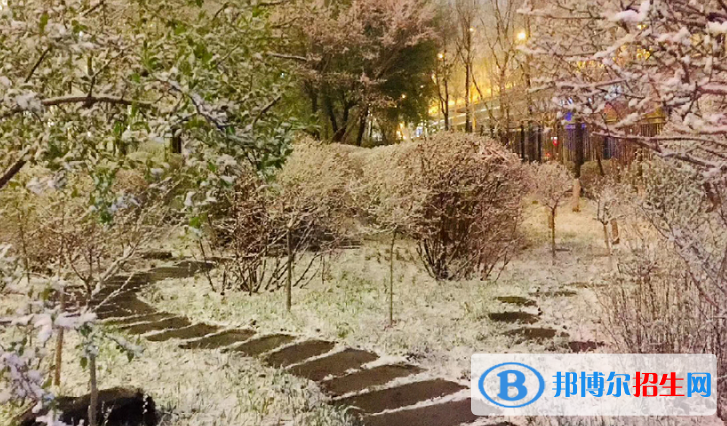 長春希望高中2023年網站網址 