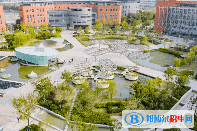 西交利物浦大學附屬學校小學部2023年錄取分數(shù)線