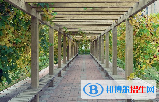安徽2023年汽修學(xué)?？梢詫W(xué)什么