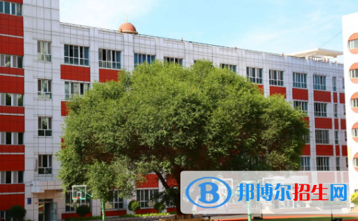 2023年烏魯木齊中學最新排行榜