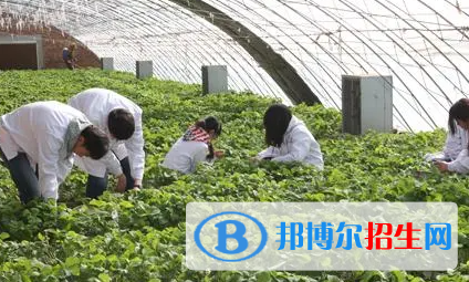 大學(xué)農(nóng)村經(jīng)營(yíng)管理專業(yè)可以從事哪些工作？