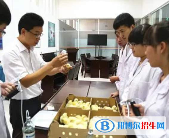 大學(xué)動(dòng)植物檢疫專業(yè)可以從事哪些工作？
