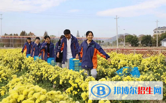 浙江2023年上中專學校學什么好