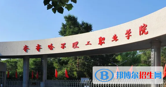 2023年齊齊哈爾理工職業(yè)學院單招專業(yè)有哪些？