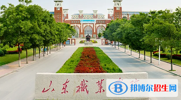 2023年年山東職業(yè)學(xué)院?jiǎn)握袑I(yè)有哪些？