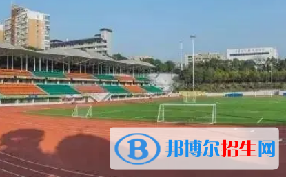 2023中國(guó)新一線城市十大高職院校