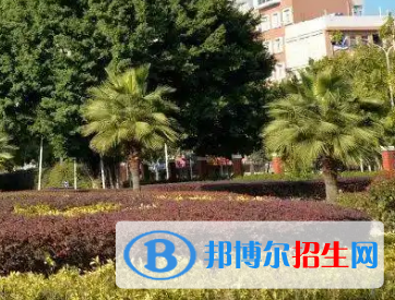 福建船政交通職業(yè)學院2022高職分類考試分數(shù)線