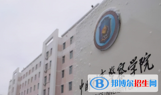 中國大學反恐警務專業(yè)排名（2022研究型）