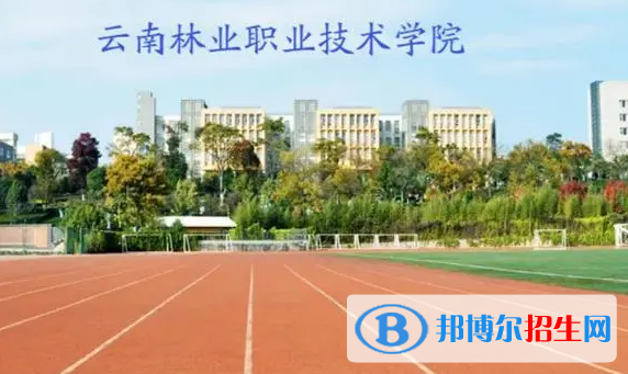 云南單招經(jīng)濟(jì)林培育與利用專業(yè)2023年有哪些學(xué)校