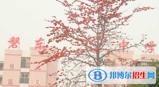 揭陽(yáng)市揭東區(qū)磐東中學(xué)、白塔中學(xué)2022錄取分?jǐn)?shù)線（2023參考）