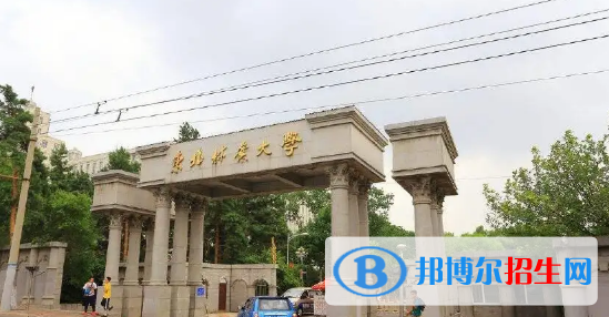 中國(guó)大學(xué)木材科學(xué)與工程專業(yè)排名(2022應(yīng)用型)