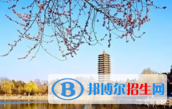 中國(guó)大學(xué)大數(shù)據(jù)管理與應(yīng)用專業(yè)排名（2022研究型）