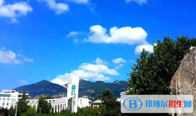 山東單招材料成型與控制技術(shù)專業(yè)2023年有哪些學(xué)校
