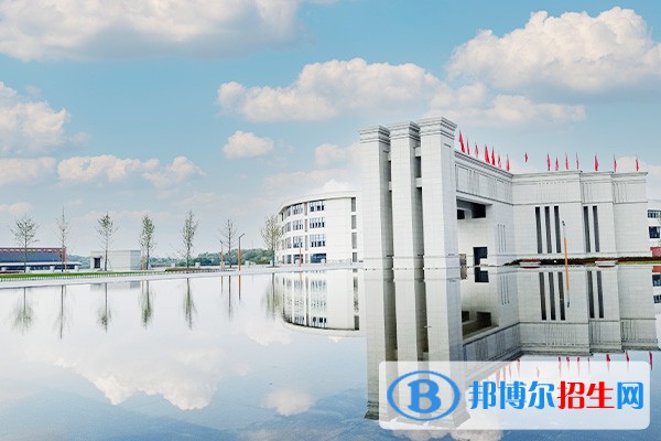 四川化工職業(yè)技術(shù)學院單招2023年招生簡章