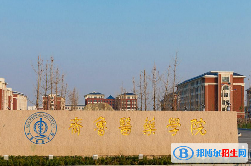 2023年山東單招民辦學校名單