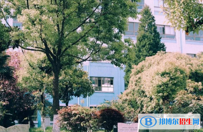 射陽(yáng)二中2022錄取分?jǐn)?shù)線（2023參考）