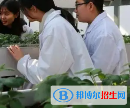 四川省金堂縣職業(yè)高級(jí)中學(xué)2023年有哪些專業(yè)