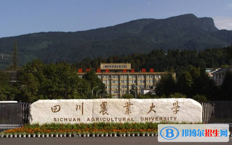 四川農(nóng)業(yè)大學(xué)是幾本？是985和211嗎？
