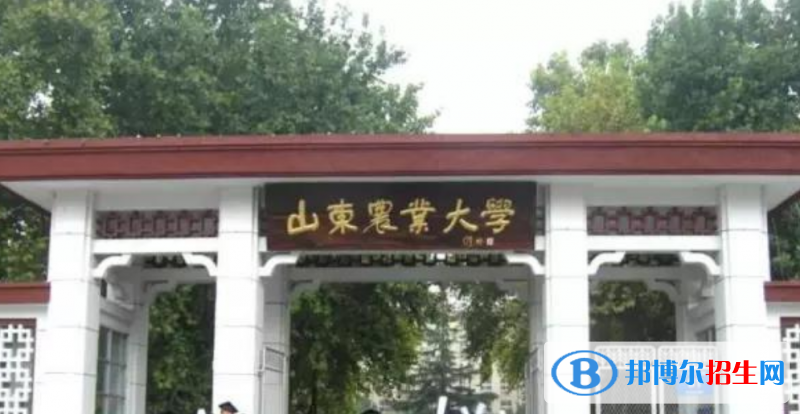 山東農(nóng)業(yè)大學(xué)是幾本？是985和211嗎？