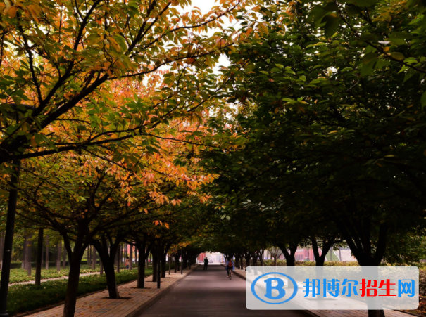 高考滿分作文：勤學不輟筑新夢（3篇）
