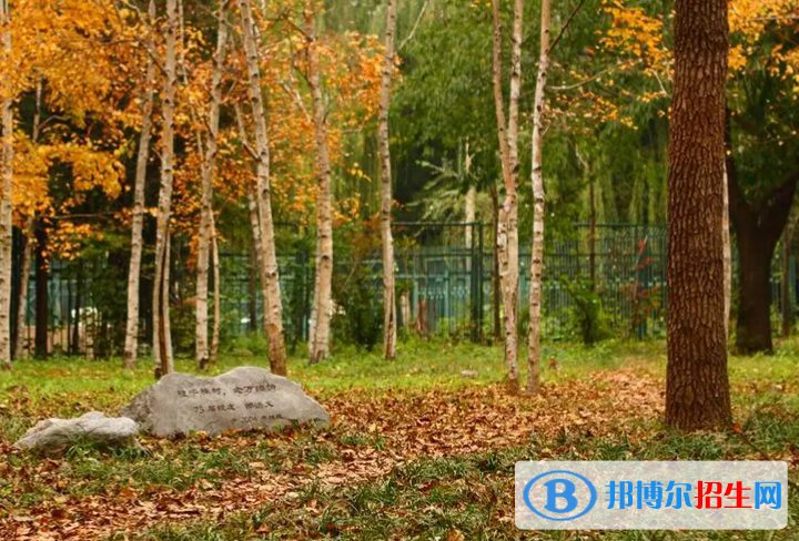 高考滿(mǎn)分作文：千年寂寞（3篇）